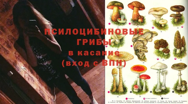 дживик Армянск