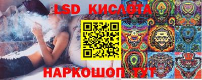 стафф Берёзовский