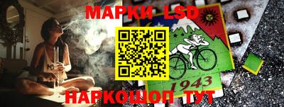 стафф Берёзовский