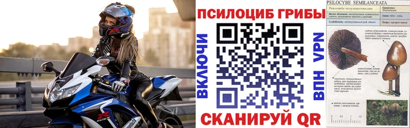 Галлюциногенные грибы ЛСД  Каменск-Шахтинский 