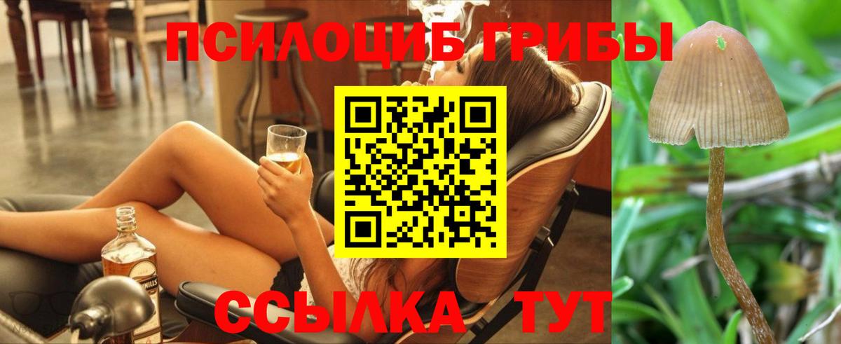 Галлюциногенные грибы прущие грибы Каменск-Шахтинский