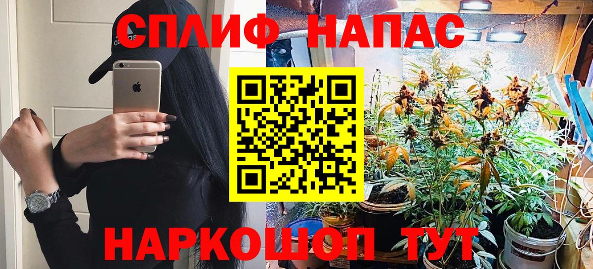 Каменск-Шахтинский  Канабис тримм  Вход с VPN  Марихуана семена  Канабис план 